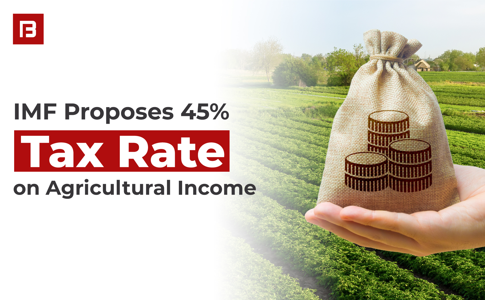 IMF Proposes 45% Tax Rate on Agricultural Income in Pakistan